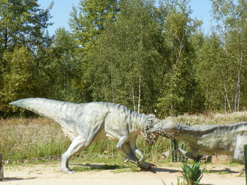 100_6541
