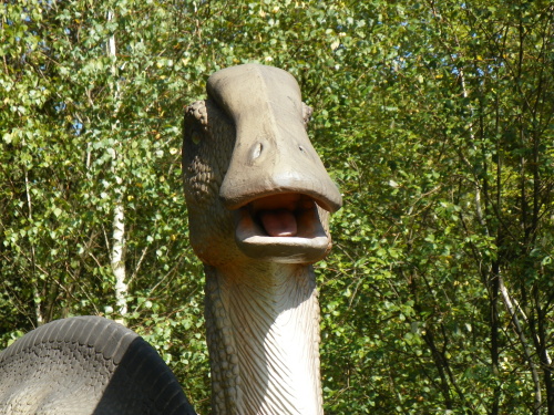 100_6551