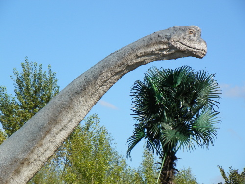 100_6609