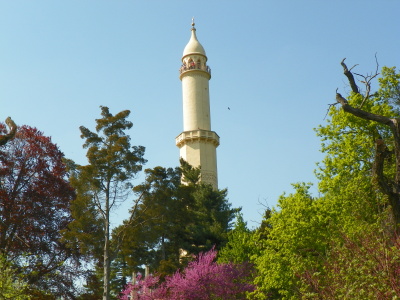 100_9484